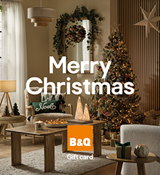 Christmas Scene